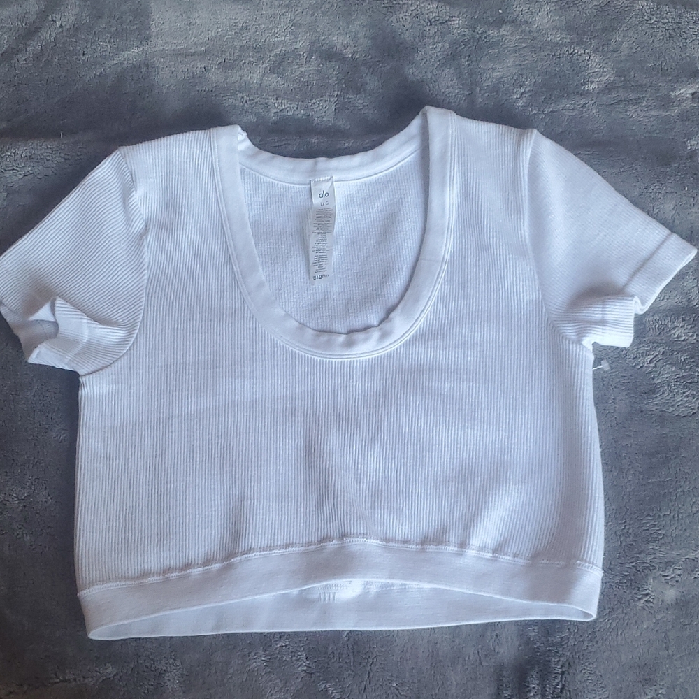 NWOT ALO YOGA SEAMLESS RIBBED CROPPED SHORT SLEEVE SERENE TOP ;SZ : LARGE - Picture 4 of 10